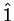 $\hat{1}$