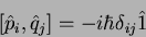 \begin{displaymath}[\hat{p}_i, \hat{q}_j]=-i\hbar \delta_{ij}\hat{1}
\end{displaymath}