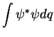 $\displaystyle \int \psi^* \psi dq$