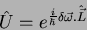 \begin{displaymath}
\hat{U} = e^{\frac{i}{\hbar}\delta\vec{\omega}.\hat{\vec{L}}}
\end{displaymath}