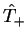 $\hat{T}_{+}$