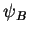 $\displaystyle \psi_{B}$
