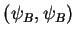 $\displaystyle (\psi_{B}, \psi_{B})$