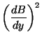 $\displaystyle \left(\frac{dB}{dy}\right)^2$